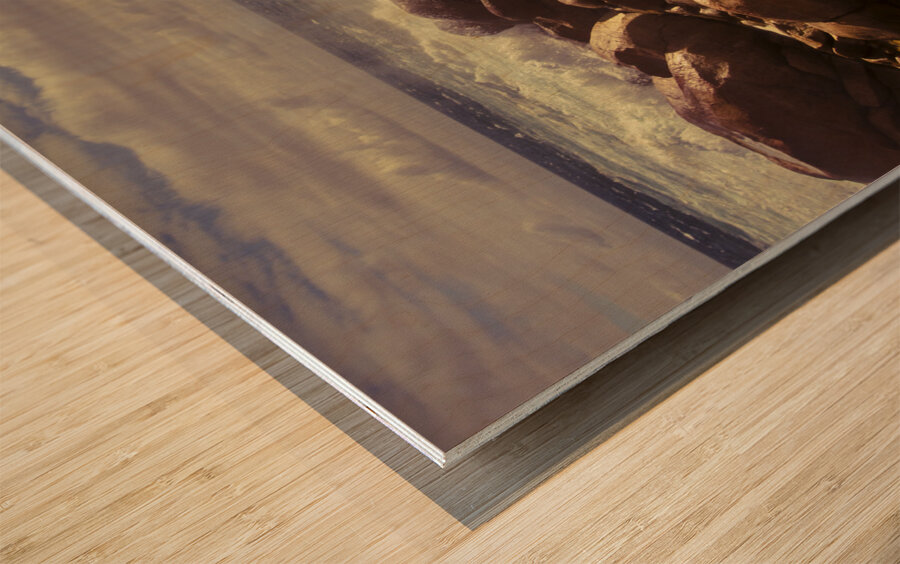 Tranquil ocean views Wood print