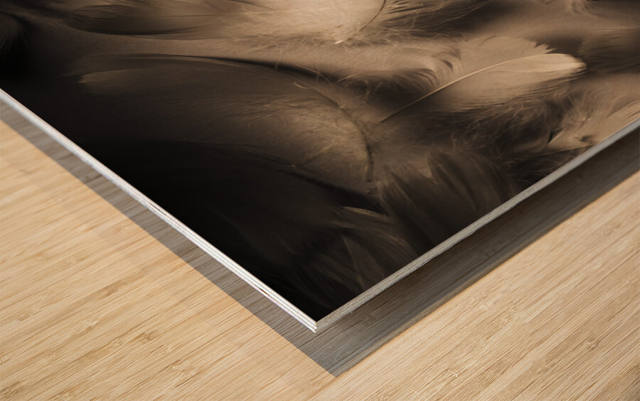 Soft contrasts Wood print