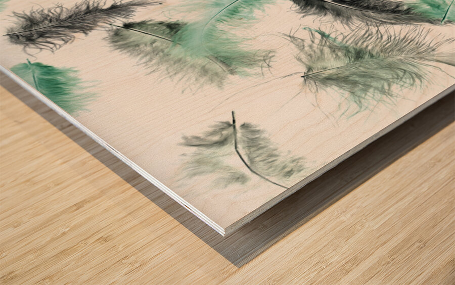 Quill and feather Wood print