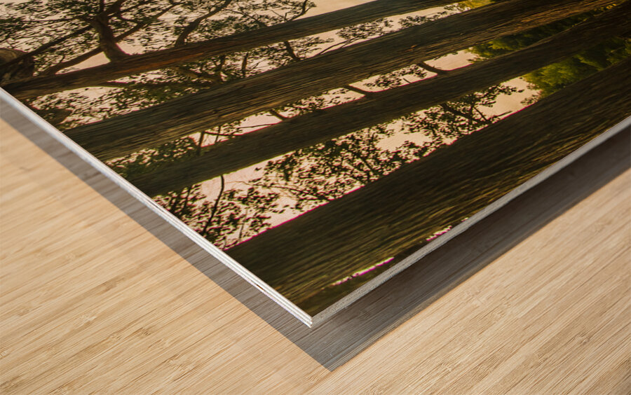 Vibrant autumn hillside Wood print