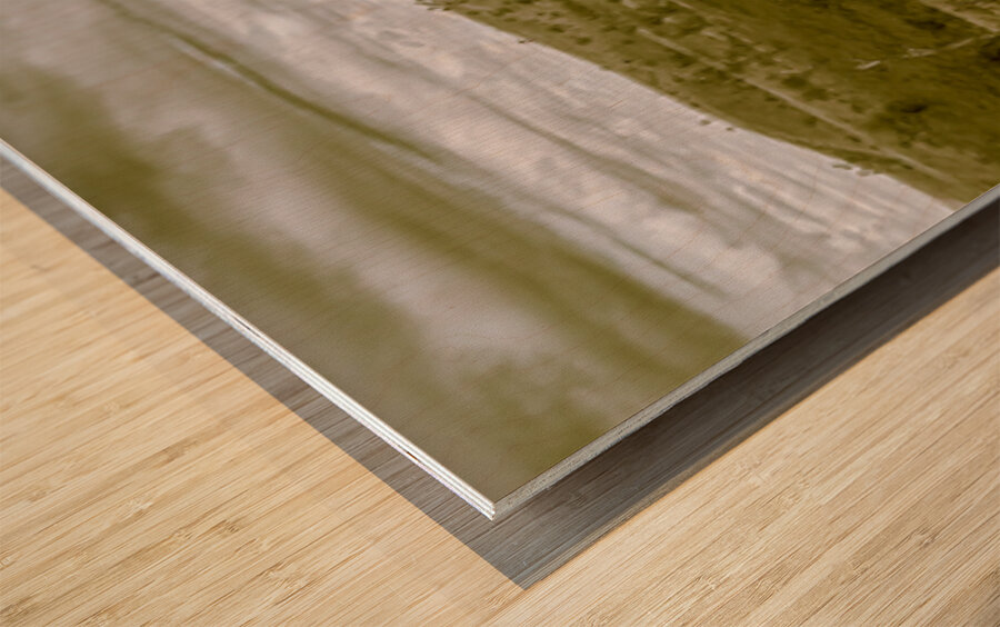 The wide stretch Wood print