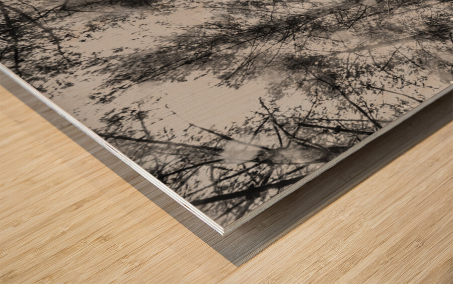 Reigning pines Wood print