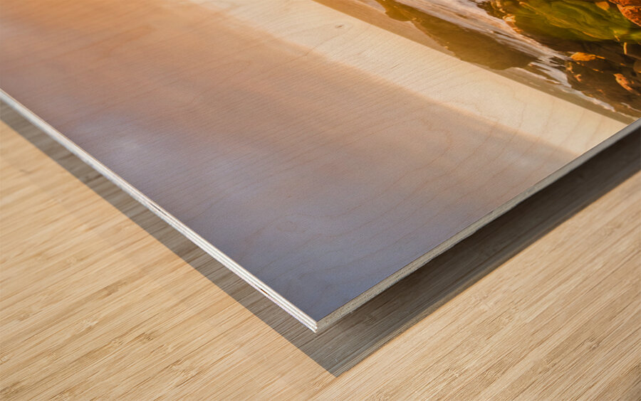 Golden Hour Wood print
