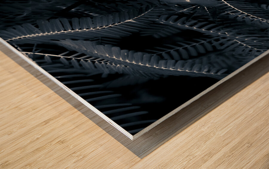 Branched tranquility Wood print