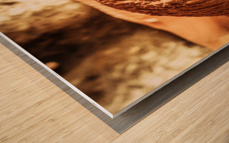 Butter shortbread biscuits Wood print