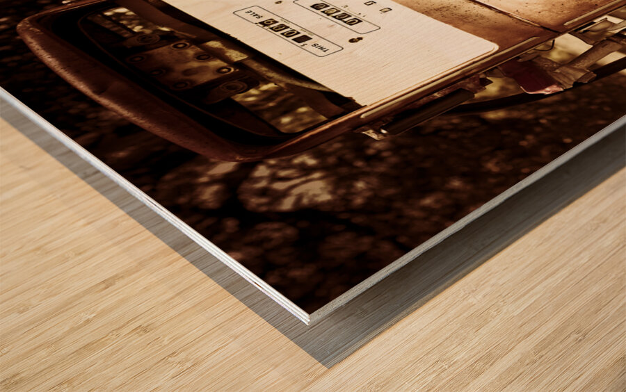 Vintage gas pump gal Wood print