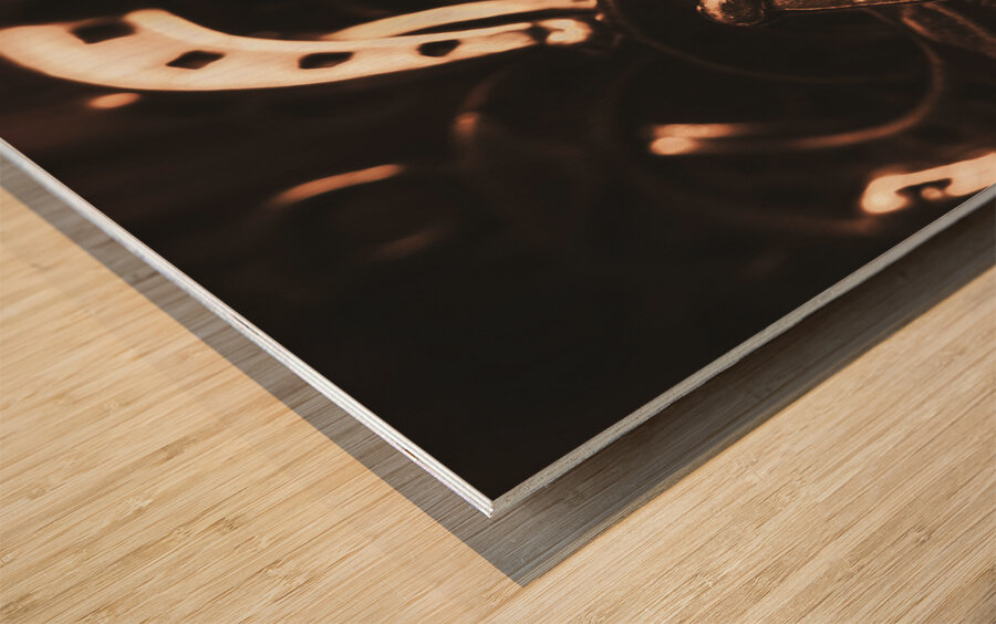 Rustic horse shoes Wood print