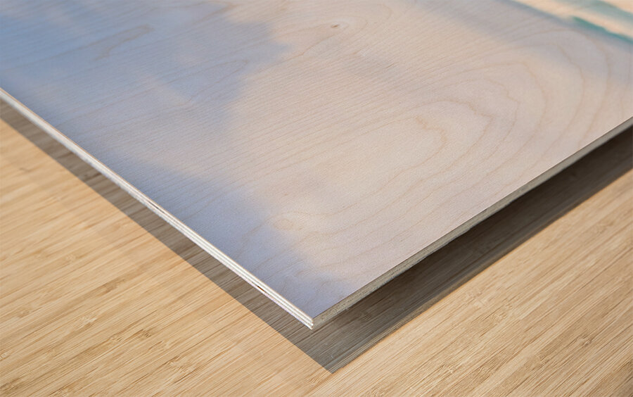 Gazing Out At The Ocean Wood print