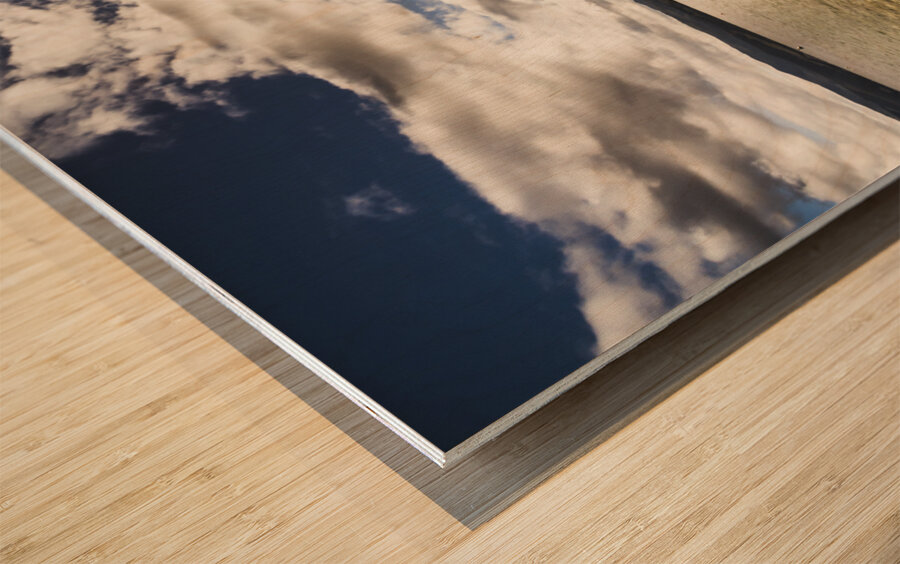 Sun drenched beach Wood print