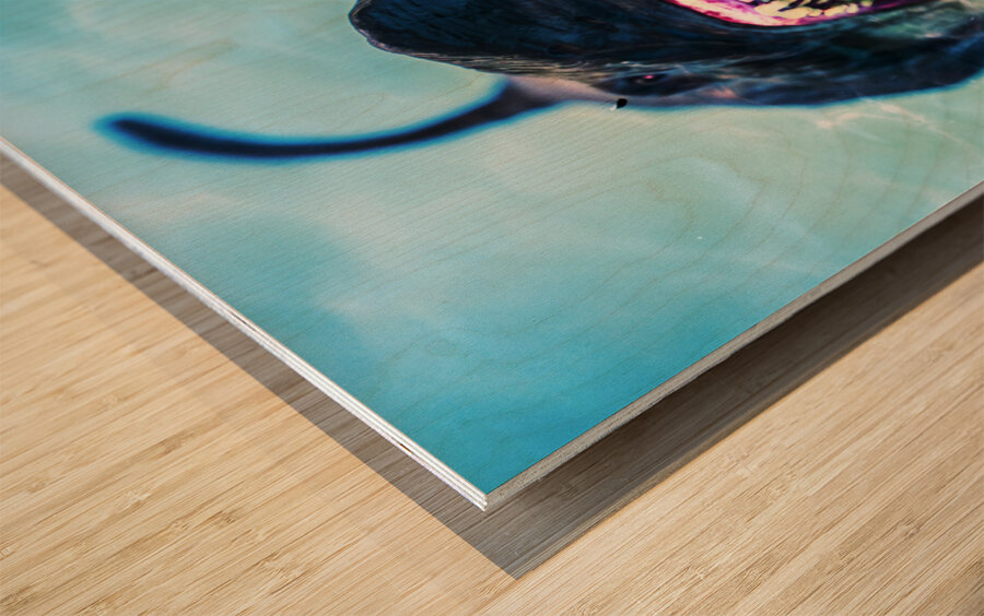 Deception Bay Wood print