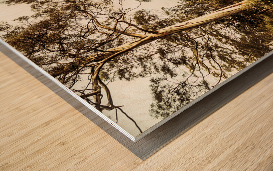 Bush views and lookouts Wood print