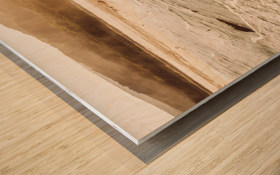 Vintage paradise Wood print