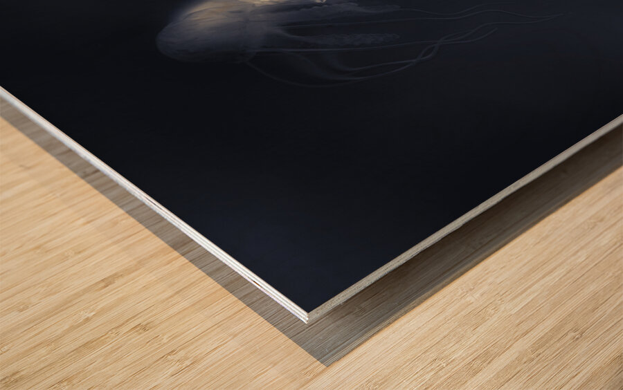 Medusas light Wood print