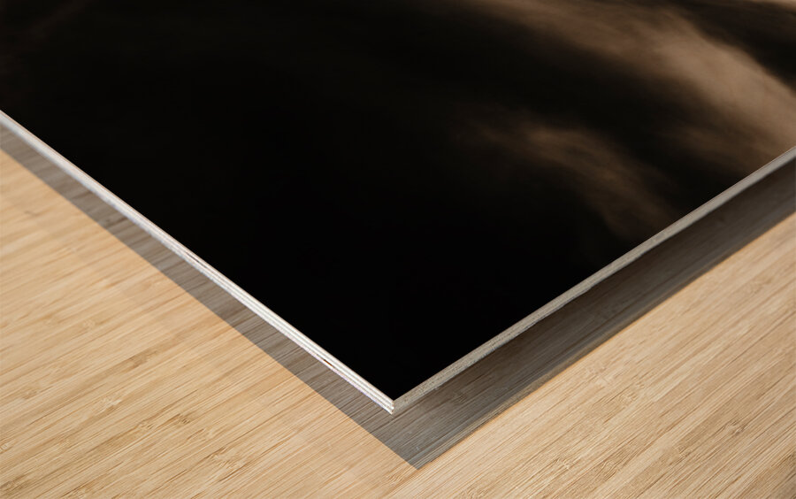 Revolution. The writings is on the wall Wood print