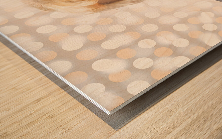 Cosmetics makeover pin up Wood print