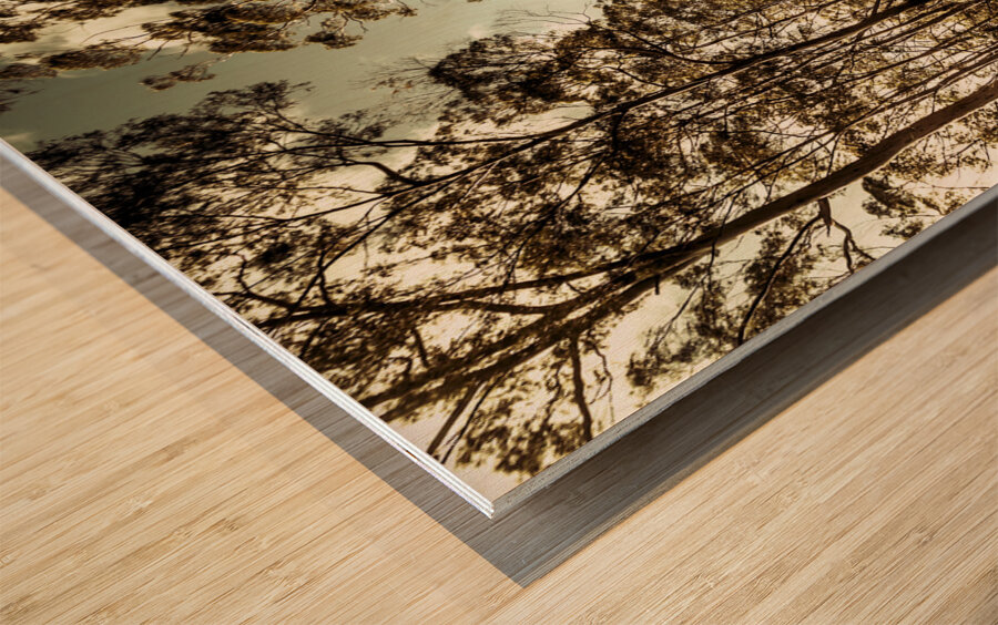 Off the beaten track Wood print