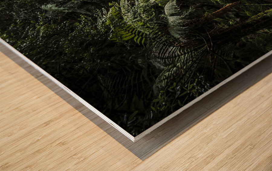 Wild rivers  Wood print