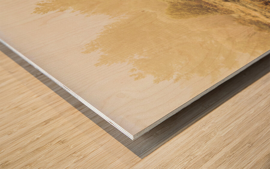 Stallion homestead Wood print