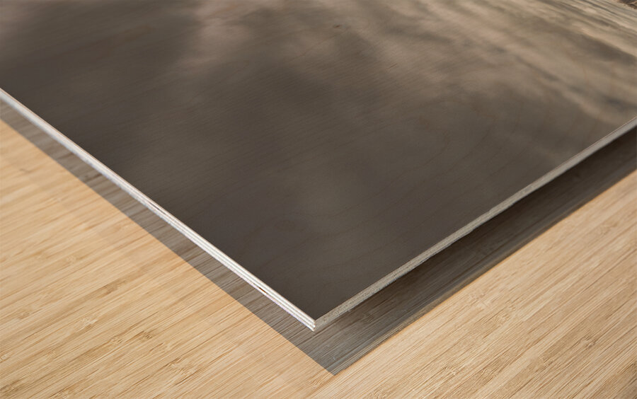 The next chapter Wood print