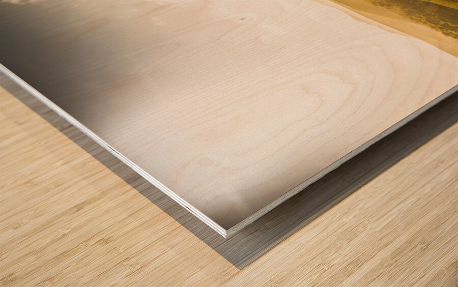 Amazing Australian Places. Trail Harbour Tasmania Wood print