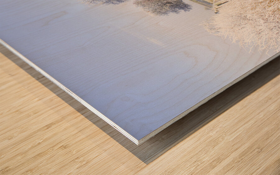 Fine art winter scene Wood print