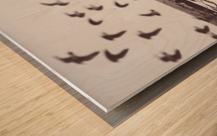 Bay of birds Wood print