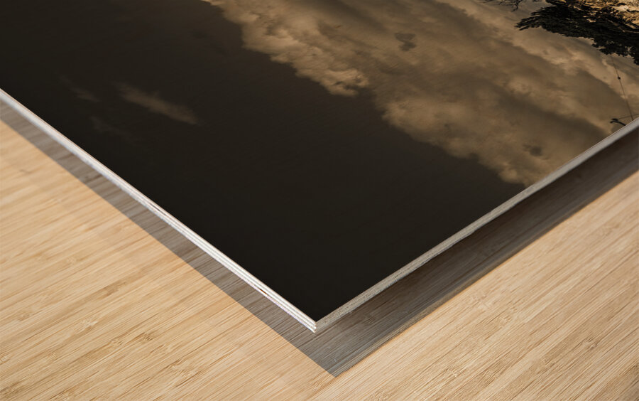 Nature photo of Tasmanian countryside in Australia Wood print