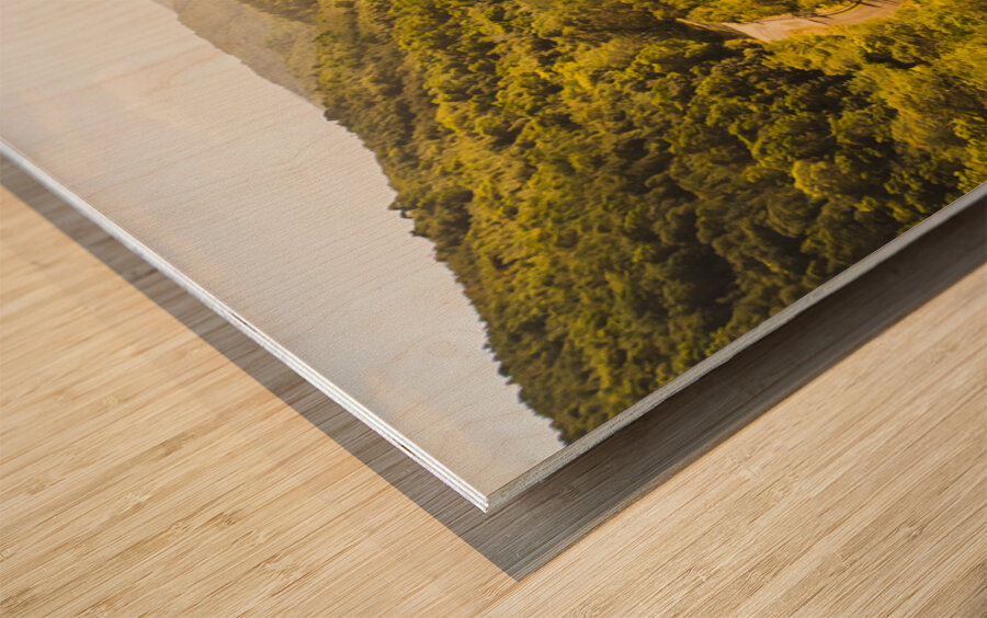 Western wilderness hydro dam Wood print