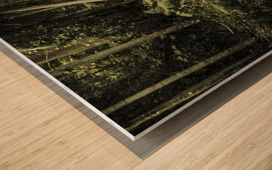 Dense tropics Wood print