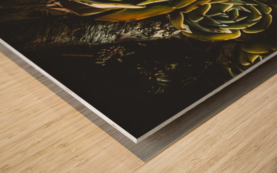 Desert flowers Wood print