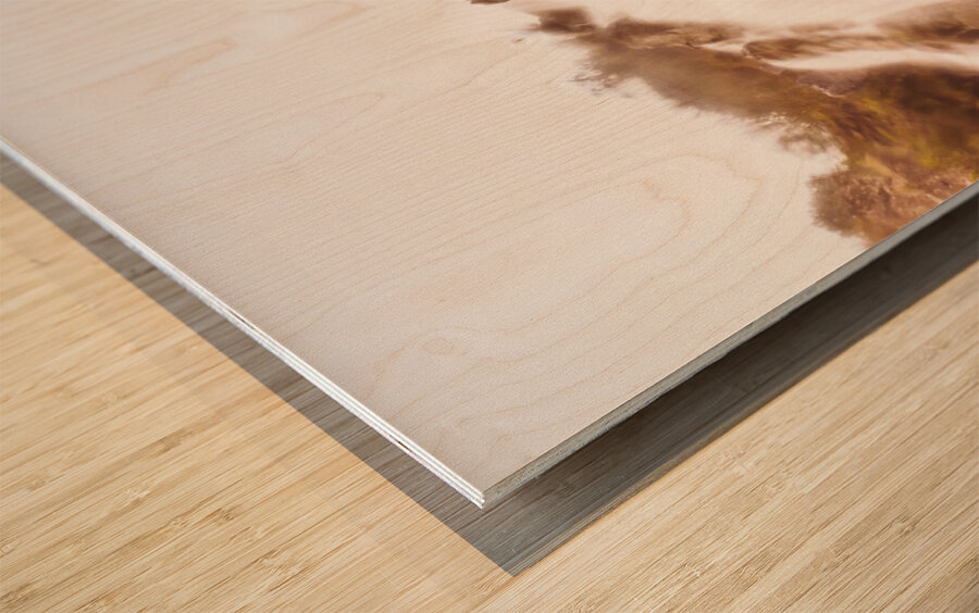 Wild west water fall Wood print