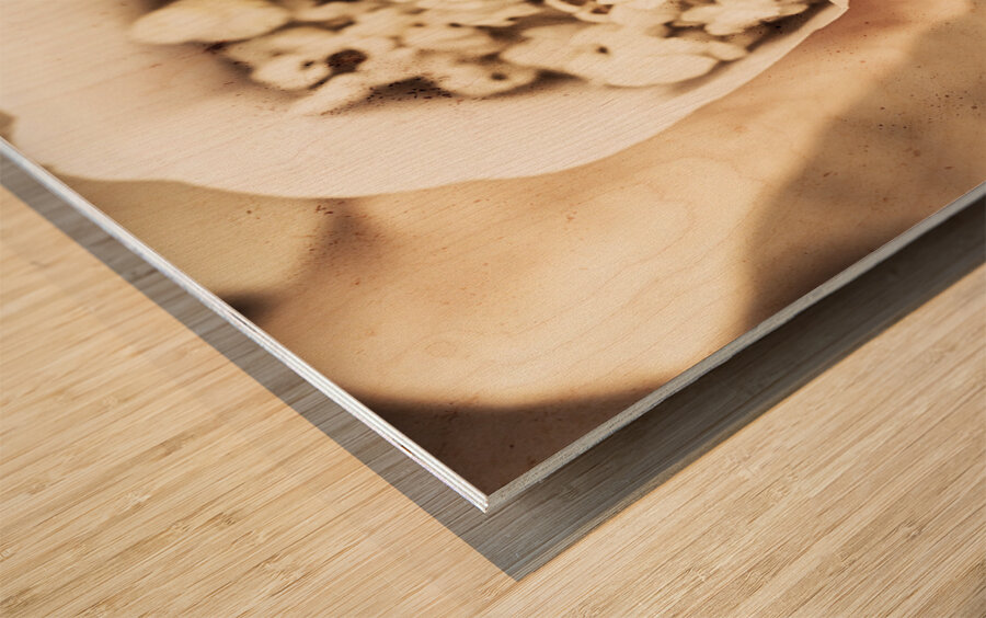 Golden era of entertainment Wood print