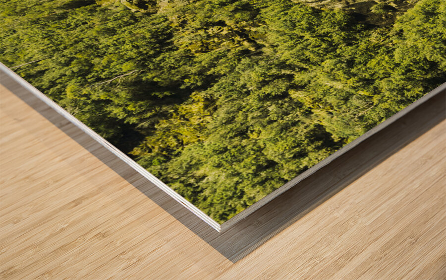 St Columba Falls Tasmania Wood print