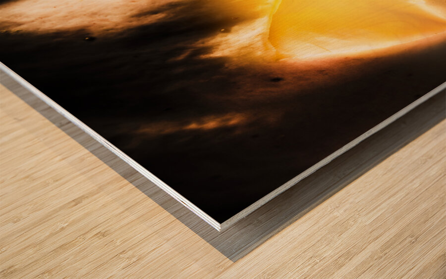 Spooky jack-o-lantern in darkness Wood print