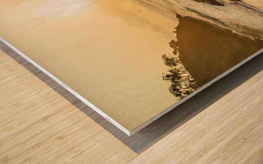 Australia Bay Wood print