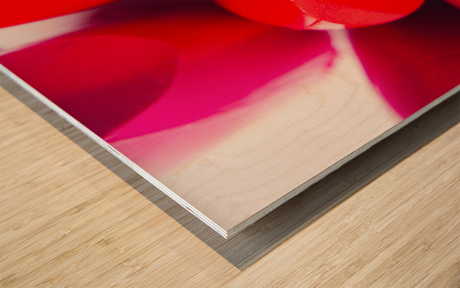 Macro cosmetic art Wood print