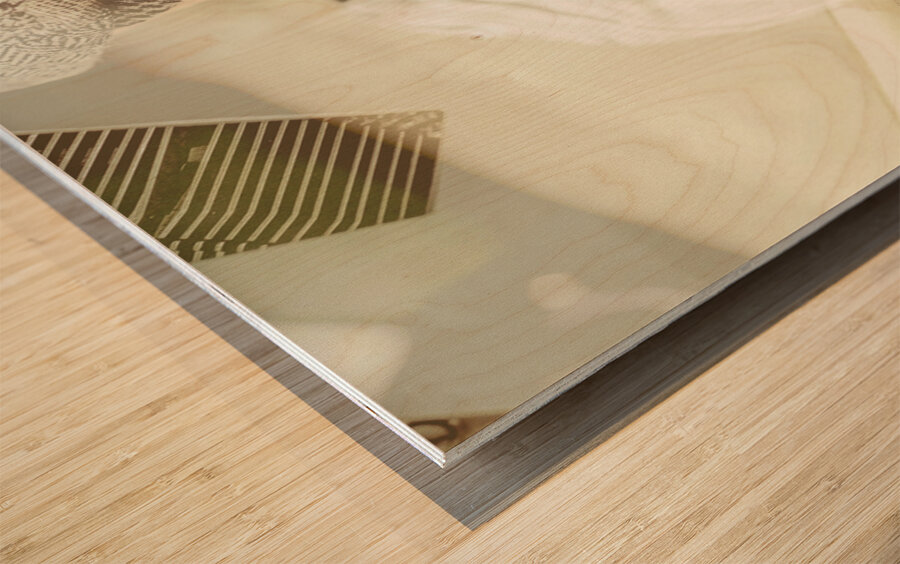 Retro typist with dream to inspire Wood print