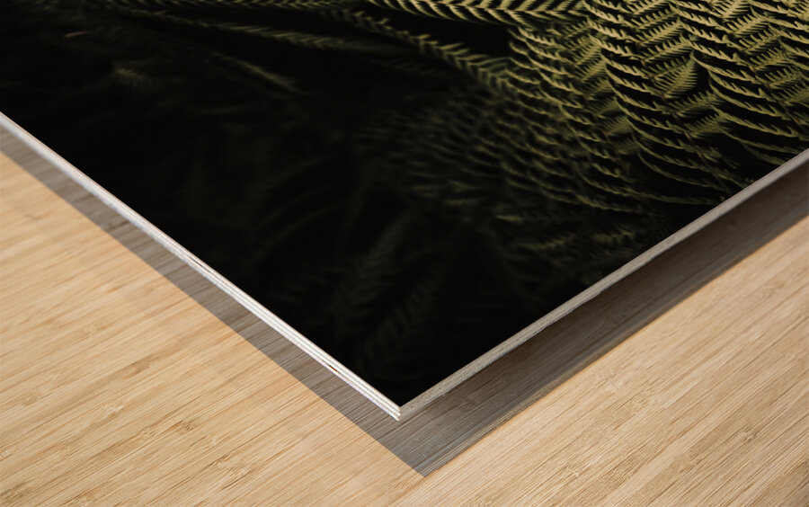 The exotic dark jungle Wood print