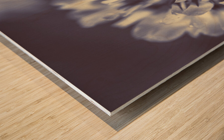 Wild beauty Wood print