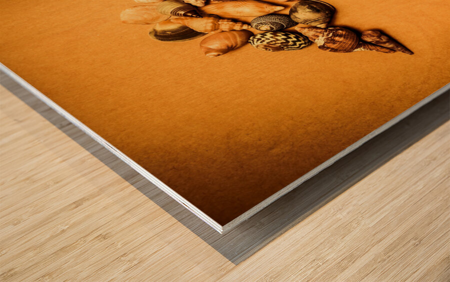 Marine Seashell Seahorse Design Wood print