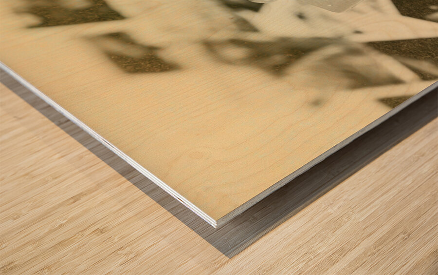 Vintage Australian postage art Wood print