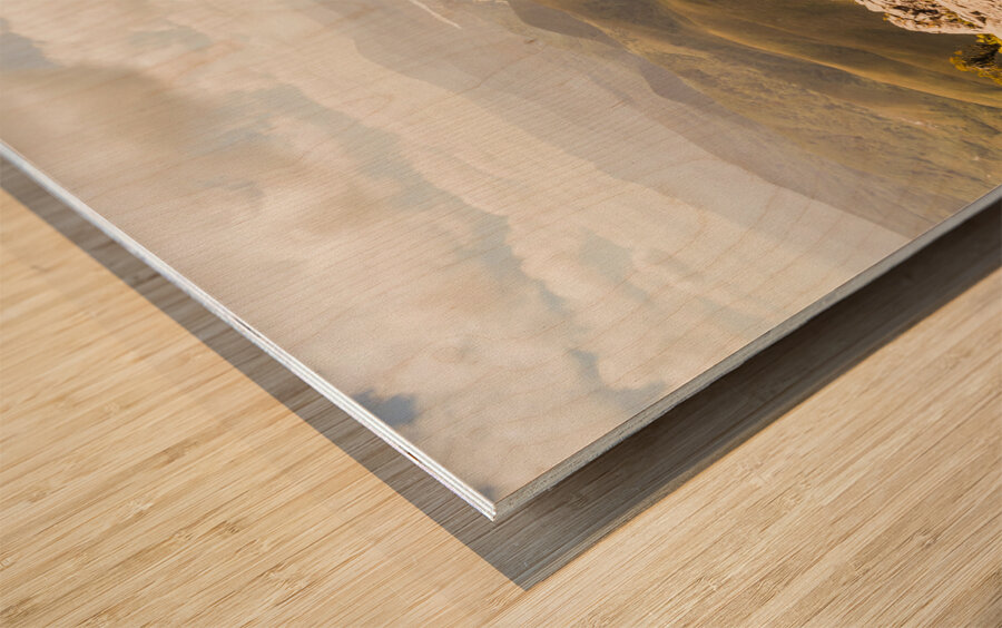 Rural town valley Wood print