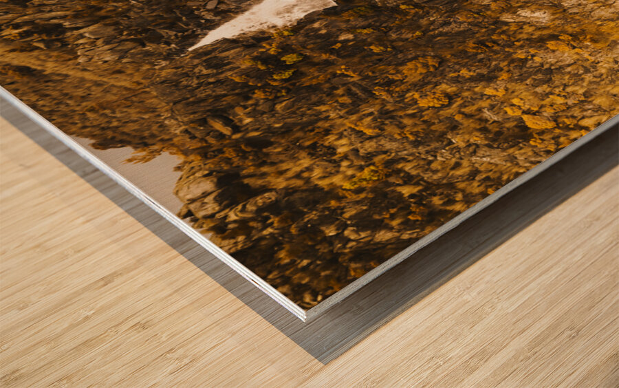 Tasmanian waterfall landscape Wood print