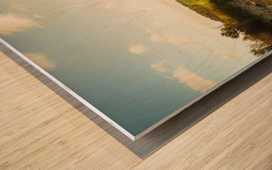 Western Way Wood print