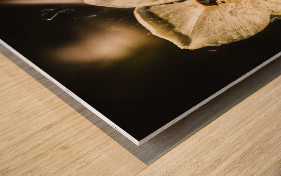 Fractal flower Wood print