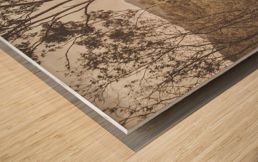 Country charm Wood print