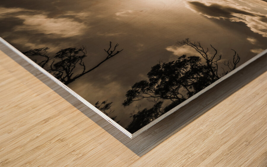 Reflections from Adventure Bay Wood print