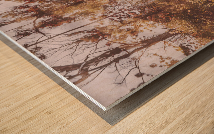 Washes of warmth Wood print