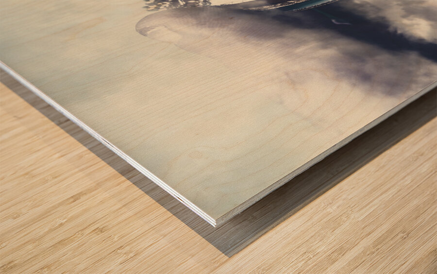 Fantasy flights Wood print