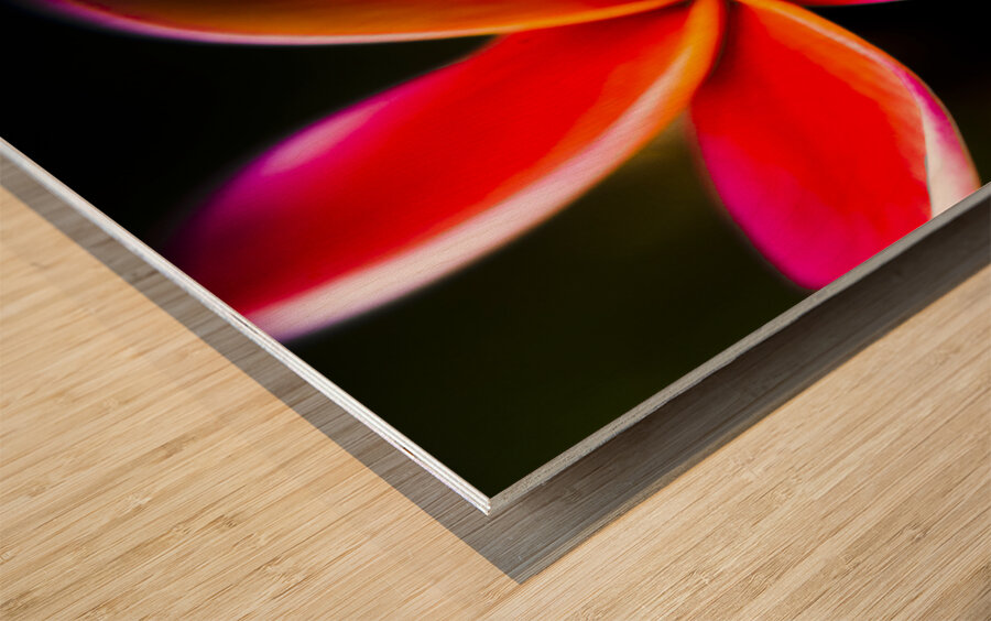 Touch of summer Wood print